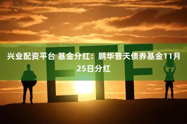 兴业配资平台 基金分红：鹏华普天债券基金11月25日分红