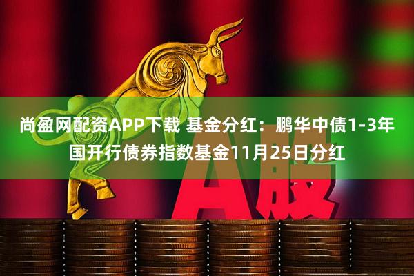 尚盈网配资APP下载 基金分红：鹏华中债1-3年国开行债券指数基金11月25日分红