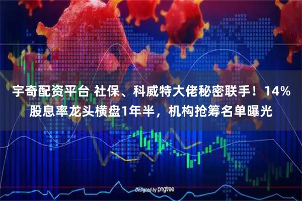 宇奇配资平台 社保、科威特大佬秘密联手！14%股息率龙头横盘1年半，机构抢筹名单曝光