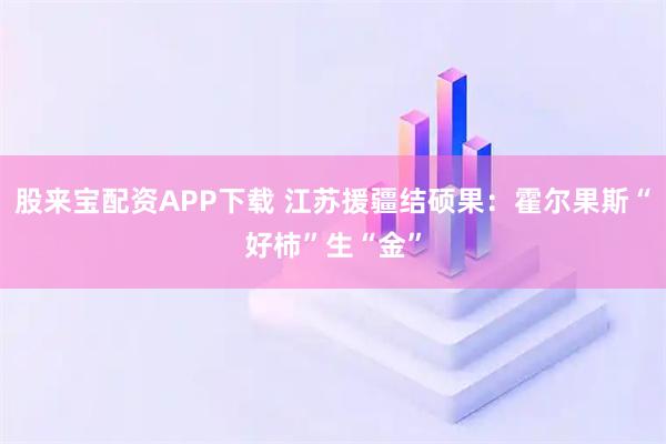 股来宝配资APP下载 江苏援疆结硕果：霍尔果斯“好柿”生“金”