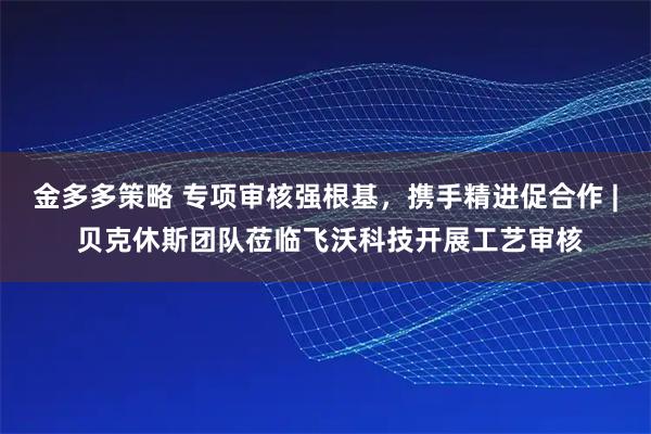 金多多策略 专项审核强根基，携手精进促合作 | 贝克休斯团队莅临飞沃科技开展工艺审核