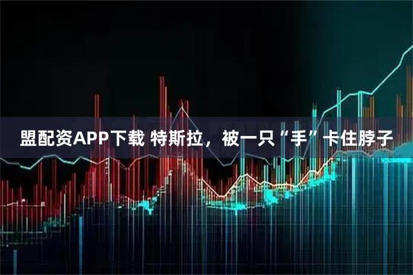 盟配资APP下载 特斯拉，被一只“手”卡住脖子